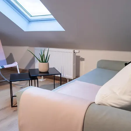 Apartment Große Familienfreundliche In Dresden