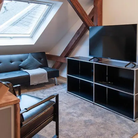 Apartment Große Familienfreundliche In Dresden